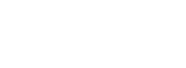 Timeless Wood Floors logo in white